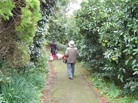 c0011204_2140324.jpg