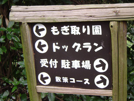 c0011204_2141313.jpg