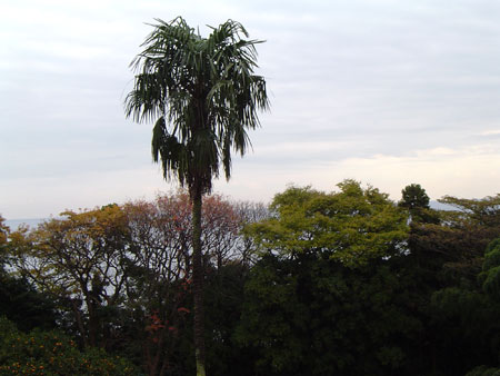 c0011204_21441665.jpg