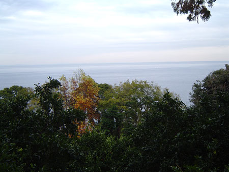 c0011204_22335416.jpg