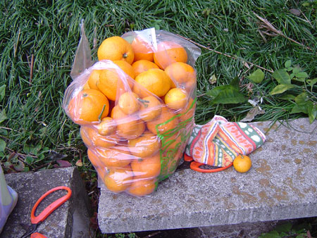 c0011204_22405714.jpg