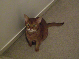 ペットも?!_b0104005_10375014.jpg