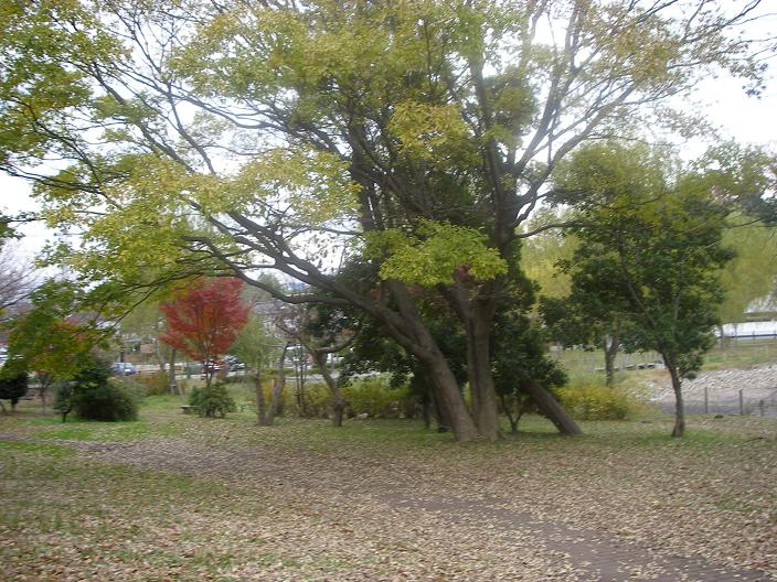c0097309_15315072.jpg