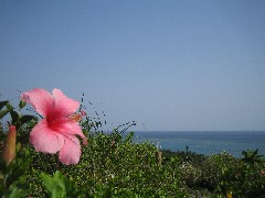 c0000816_2212478.jpg
