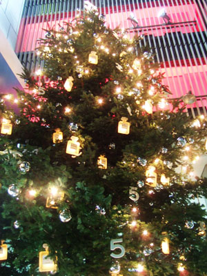 f0038727_010613.jpg