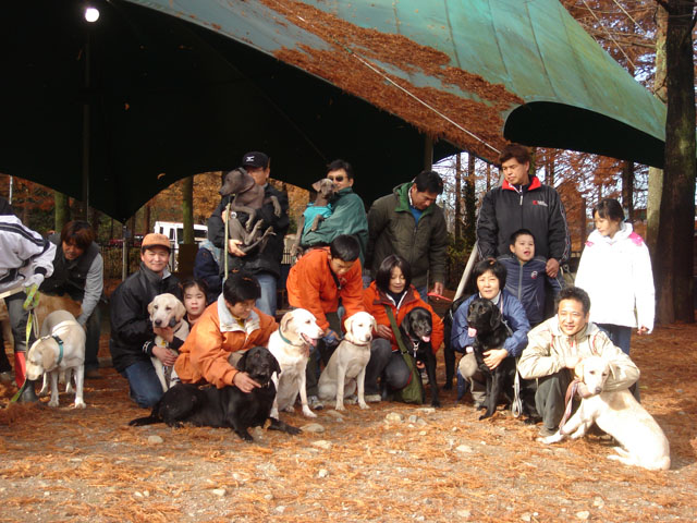 12月11日　月曜日　犬飼の幸せ_d0069428_20462056.jpg