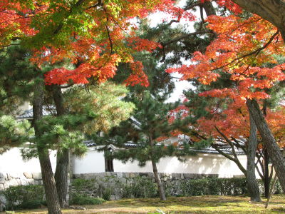 f0054428_22433450.jpg