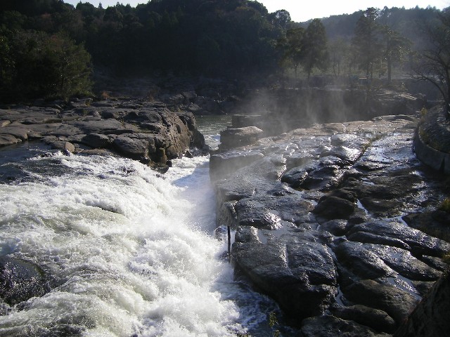 f0000330_23775.jpg