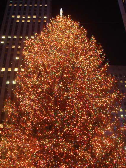 Christmas illuminations!_d0095837_095199.jpg