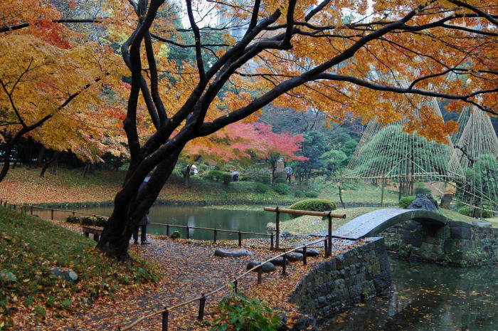 小石川後楽園_e0095142_21482421.jpg