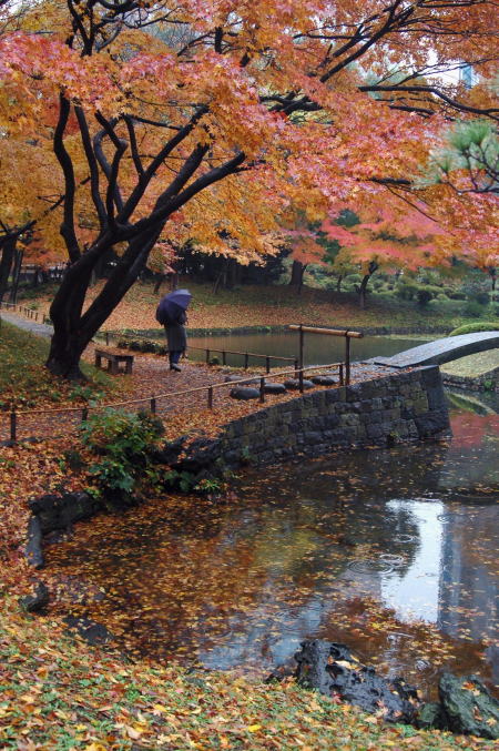 小石川後楽園_e0095142_2150175.jpg