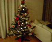 a0063050_23143926.jpg