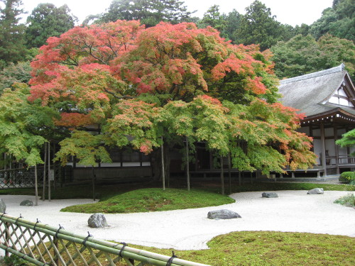 a0013751_231016.jpg