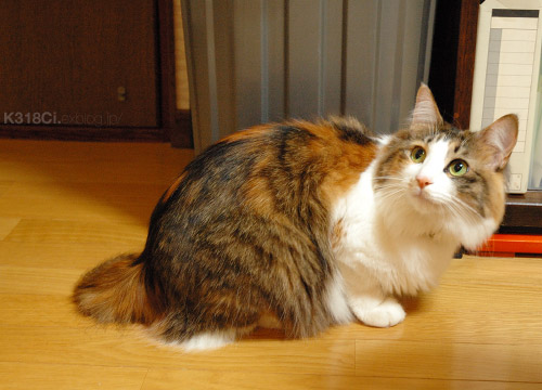 a0067056_1431438.jpg