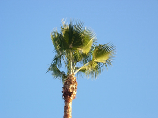 e0106557_0501283.jpg