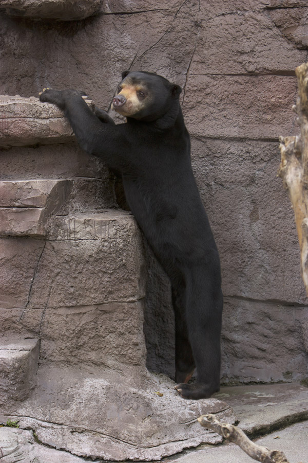 天王寺動物園310_e0060169_6115849.jpg