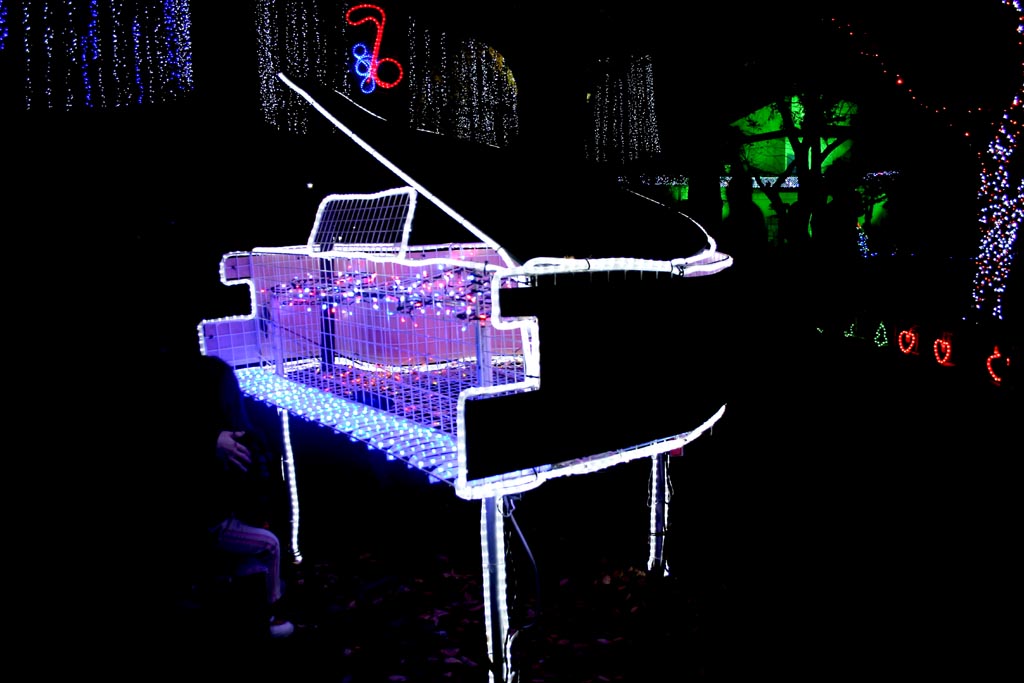 c0009475_22105.jpg