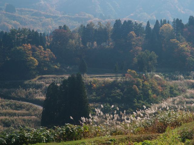 a0025576_23102418.jpg