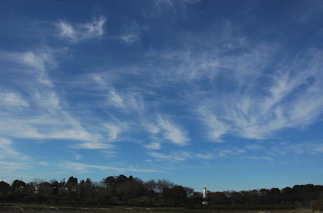 a0044076_20582475.jpg