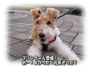 a0037682_21432686.jpg