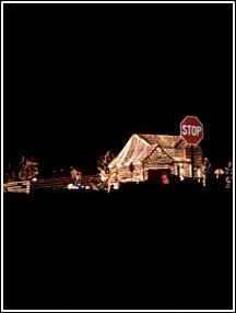 アメリカのイルミ ~X\'mas lights in USA~_c0105183_21395240.jpg
