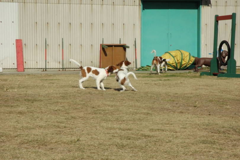 c0075585_1152844.jpg