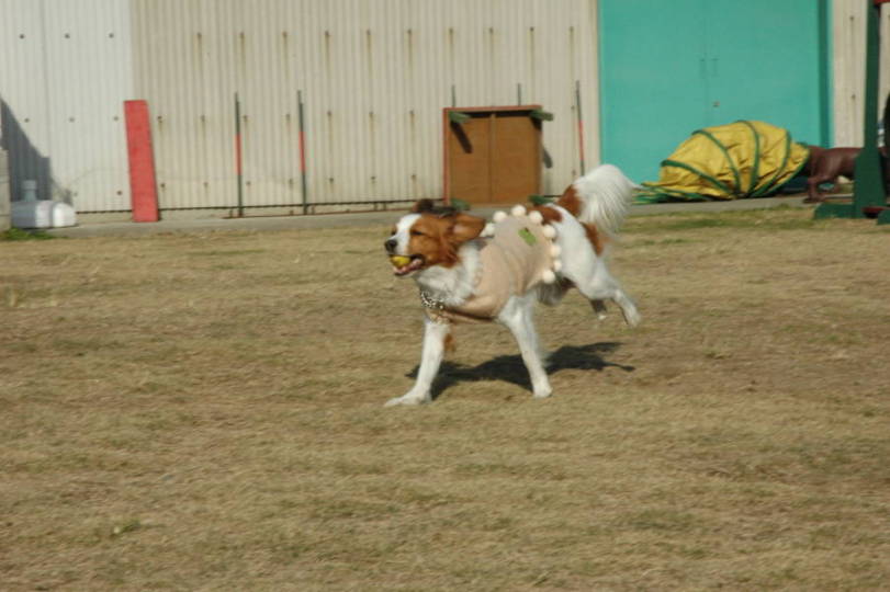 c0075585_1292678.jpg