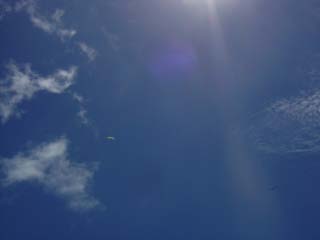 c0103793_851212.jpg