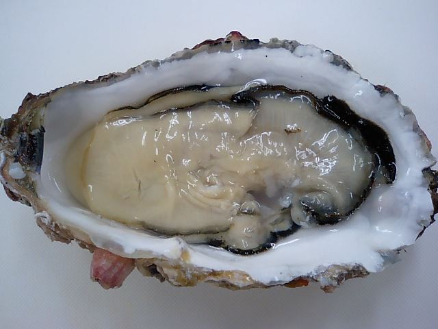 e0031798_16235964.jpg