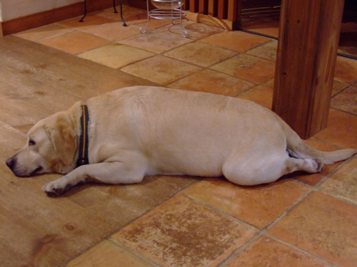 f0001698_2352.jpg