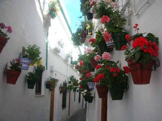 e0061699_48245.jpg