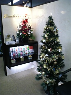 クリスマスツリー_d0054704_22525422.jpg