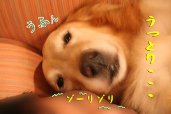 e0072606_11155463.jpg