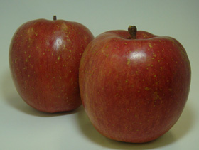 c0102608_20425954.jpg
