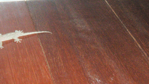 e0056411_1916535.jpg