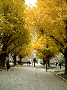f0043911_2202769.jpg
