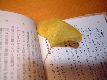 f0043911_220417.jpg