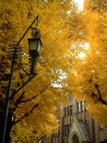 f0043911_2205058.jpg