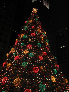 f0102814_13202936.jpg
