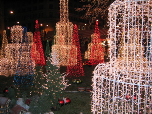 f0102814_13451648.jpg