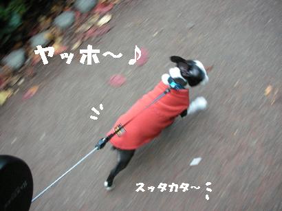 e0103831_1063482.jpg