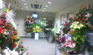 ☆哀と愛と藍と☆_e0083143_2310315.jpg
