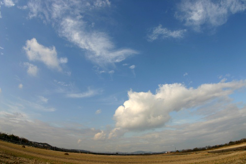 今日の空_d0090744_2255124.jpg