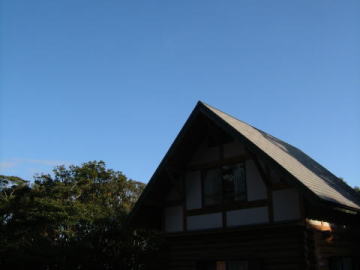 c0059954_117223.jpg