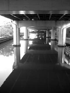 f0100480_67464.jpg