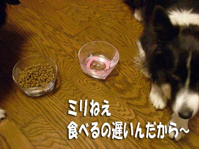 f0114893_943302.jpg