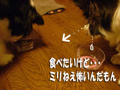 f0114893_9442180.jpg
