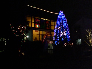 c0052600_0263381.jpg
