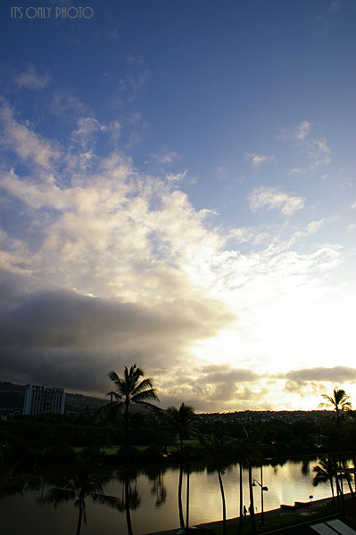e0008800_11597.jpg