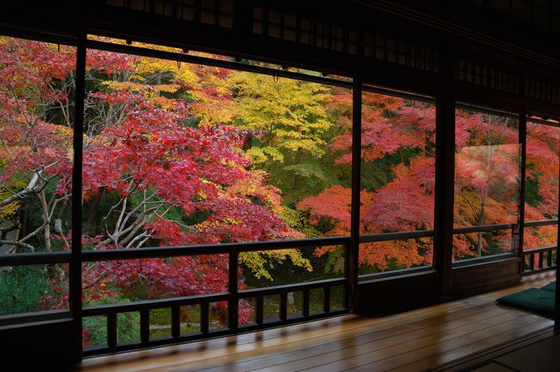 瑠璃光院 青蓮院門跡 知恩院 Mi Chin S Blog